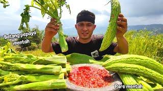 MUKBANG RAW PAPAYA STEM + RAW PARE WITHOUT RICE - SUPER Spicy Terasi Sambal