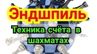 9 ) Лекция. Ферзь против ладьи! Техника счёта в шахматах!          Эндшпиль.