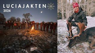 LUCIAJAKTEN 2024 - Årets bästa drevjakt på Barksätter Gård! | Driven Hunt Sweden