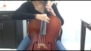 Pizzicato Bartók violoncello