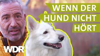 Dem Hund konsequent Grenzen aufzeigen | Hunde verstehen | S03/E03 | WDR