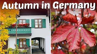 You've GOT to See Germany in Autumn!  A cinematic view of Fall