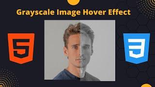 how to create  Grayscale  Image Hover  in HTML CSS