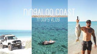 Ep 13 - Ningaloo Coast Troopy VLOG