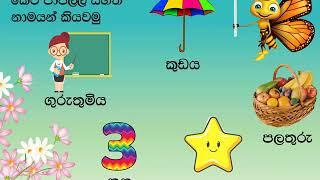 Grade 1   Sinhala   ketipaapilla Presentation