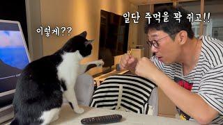 냥폭에 대비해 강하게 키우는 고양이 아빠ㅋㅋ