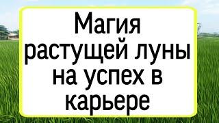 Магия растущей луна на успех. | Тайна Жрицы |