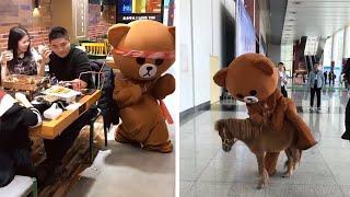 Street Troll - Funny Brown Bear Handing Out Leaflets | Funny Troll - Funny Pranks 2019 (P02)