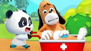 Kumpulan Film Bayi Panda | Kartun Bayi Panda Lucu | BabyBus Bahasa Indonesia