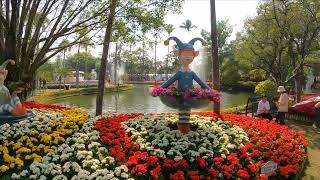 Chiang Mai Flower Festival, Nong Buak Park 2/3/2023 #chiangmai #flowerfestival