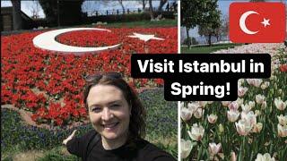 The REASON WHY you need to visit ISTANBUL in spring!