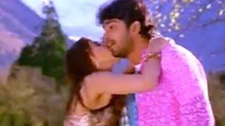 Allare Allari Movie || Lailalai Laila Video Song || Allari Naresh,Venu,Parvati Melton