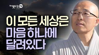 이 모든 세상은 마음 하나에 달려 있다 / 마음공부 조언 법상스님의 영가현각 증도가 93회(47_1)