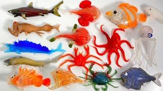 OCEAN ATTACK & Co. BIG Complete set "unboxing" Deep sea fish squishy DeAgostini