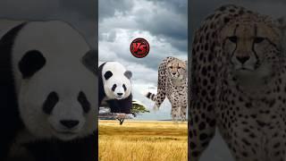 Panda vs Attackers Animal (Slat, Komodo dragon, Snake)