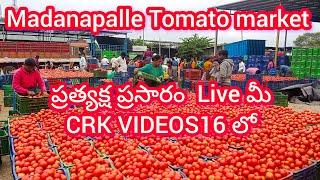 25/12/24 Madanapalle Tomato prices  మదనపల్లె టమాటా రేట్లు #crkvideos16 #tomatoprices