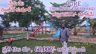 ||2500/- Per  Sq.yd మాత్రమే|| PURE ORGANIC || 2&3BHK Month Rental Income 60,000/-  #Hyderabad