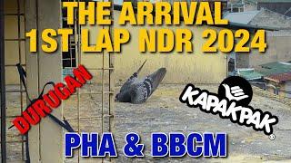 THE ARRIVAL IN THE 1ST LAP (PHA & BBCM) [NDR 2024]