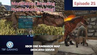 Ragnarok Xbox E25 Morellatops Breeding - Hyaenodon Breeding - Ark Survival Evolved on the TBFGSERVER