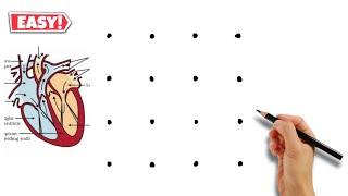 Cross section Human Heart Labelled Diagram drawing / Turns into Human Heart Diagram Drawing class 10