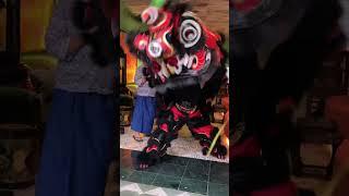 Lion Dance for grand opening at Coolies Club 05 June 2024