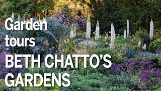 Tour Beth Chatto's Gardens through the seasons