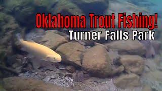 Turner Falls Park Fishing | Trout Fishing Anyone? | COAF Field Team Vlog 28