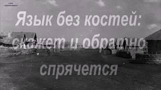 Татарская мудрость: татарские поговорки и пословицы, а также высказывания татарского народа.