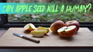 Can apple seed kill a human? | educational videos | general knowledge video | Facts videos