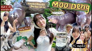 (cc)VLOG Waking Up at 4 to See the Hypest Hippo of Khao Kheow Zoo, Moo Deng! [NAME FRAME]