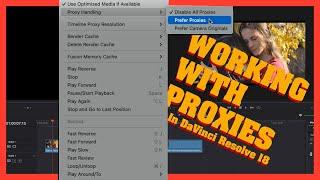 Proxy Generator in Davinci Resolve 18