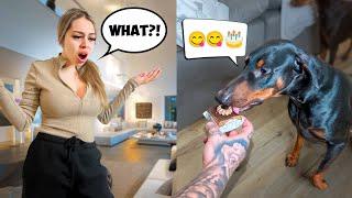 Giving My Dog Chocolate PRANK On GIRLFRIEND!! *SHE WENT OFF*