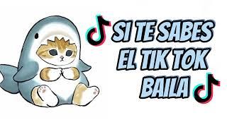 !si te sabés el tok tok baila¡ versión todos los años