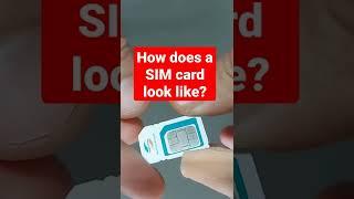 How does a sim card look like?