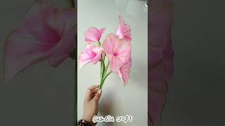 Caladium flower || Next tutorial || Casella craft || shorts