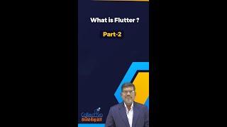 03 P2 Google's Journey 2 & 3|Google's flutter in Tamil| #shorts #collectivaknowledgeacademy #flutter