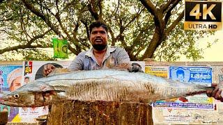Vanjaram fish cutting video/fishcuttingrs#kasimedu #fish #fishcuttingrs