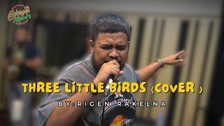 BABAGEN MOODS ~ RIGEN ~ THREE LITTLE BIRDS (COVER)