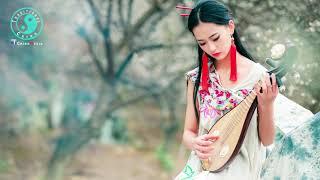 Liu Zi Ling 刘紫玲 • 晚風【Beautiful Chinese Music】