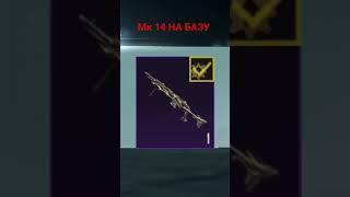 забрал МК 14 Галактическая позолота #набазу #пабг #pubgmobile #pubg #mk14