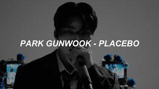 [with video] ZEROBASEONE : PARK GUNWOOK - ‘Placebo’ Easy Lyrics