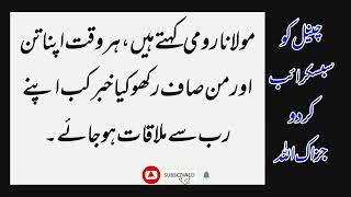 Aqwal e Zareen in Urdu | Urdu Quotes About Life | Best Quotes | Lutf Voice