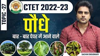 CTET December EVS NCERT Plants by Sachin choudhary live 8pm