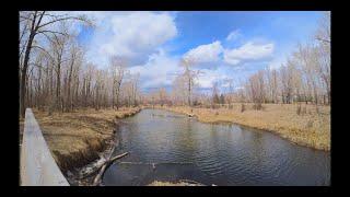 Spring Visit to Carburn Park in Calgary, Canada in 5K