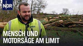 Abholzen im Grenzbereich | Die Nordreportage | NDR Doku