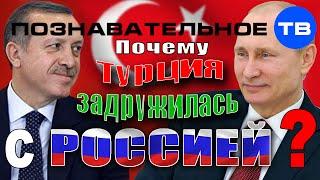 Почему Турция задружилась с Россией? (Познавательное ТВ, Артём Войтенков)