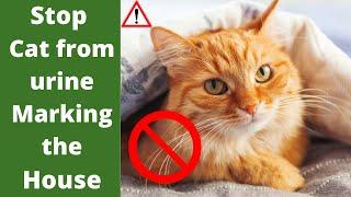 -► How to Stop Cat from Urine marking the House