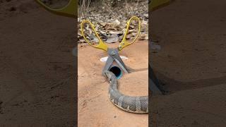 Easy Snake Trap using Scissors#creativesnaketrap #buildsnaketrap