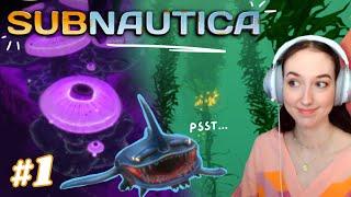 The ocean is calling me | Subnautica Blind Playthrough | Part 1