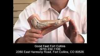 Do Arch Supports Work? Foot Pain Heel Back Hip Knee Pain Plantar Fasciitis - Good Feet Ft. Collins